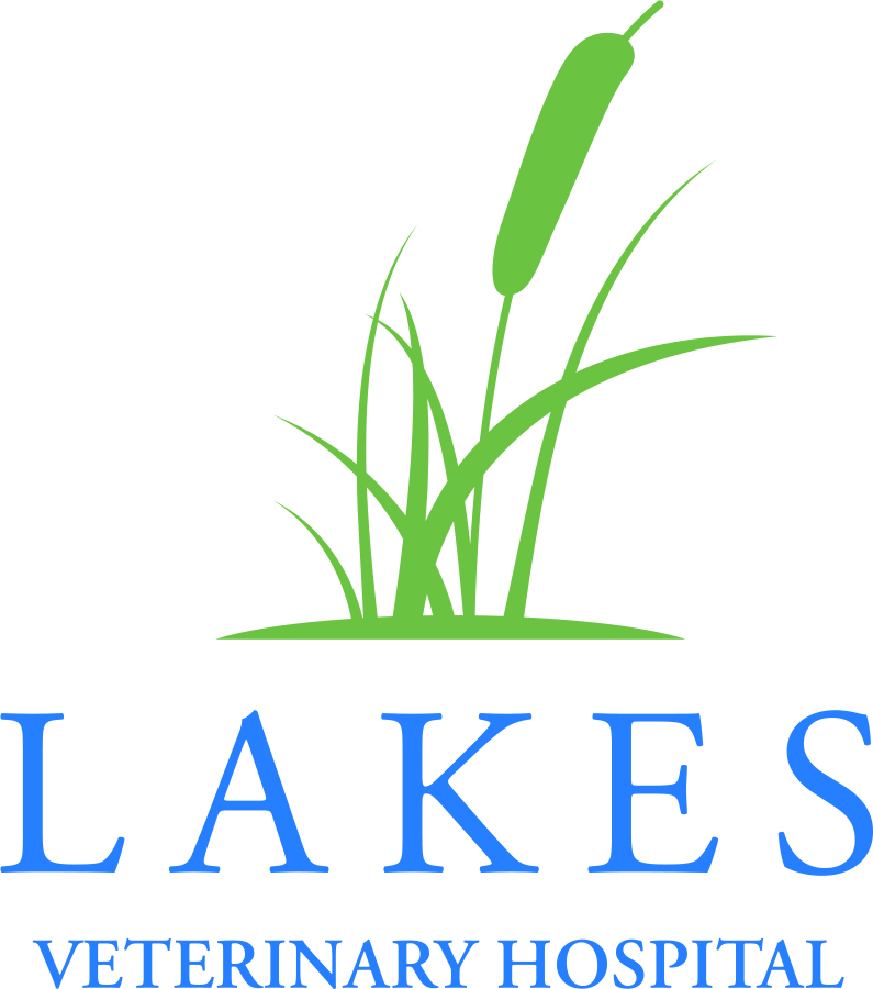 lakes_logo_color_no_tagline_print